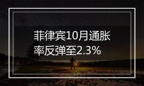 菲律宾10月通胀率反弹至2.3%