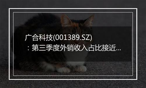 广合科技(001389.SZ)：第三季度外销收入占比接近八成，汇率波动对公司经营影响较大