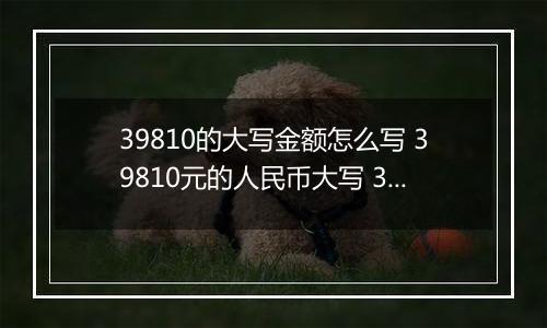 39810的大写金额怎么写 39810元的人民币大写 39810元的数字大写