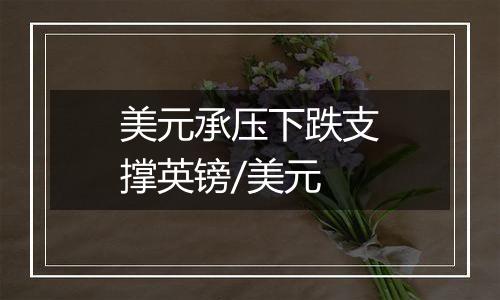 美元承压下跌支撑英镑/美元