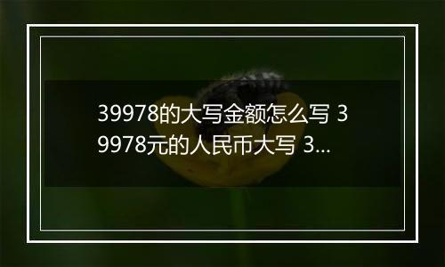 39978的大写金额怎么写 39978元的人民币大写 39978元的数字大写