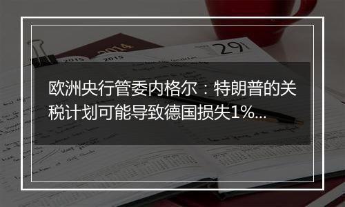 欧洲央行管委内格尔：特朗普的关税计划可能导致德国损失1%的GDP