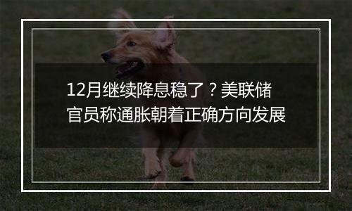 12月继续降息稳了？美联储官员称通胀朝着正确方向发展