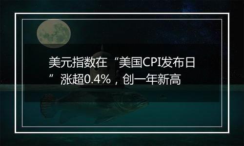 美元指数在“美国CPI发布日”涨超0.4%，创一年新高