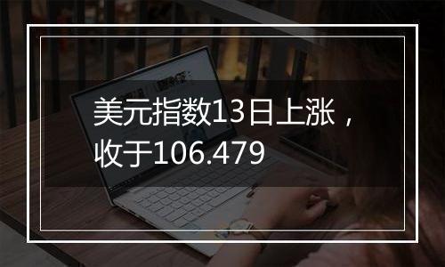 美元指数13日上涨，收于106.479