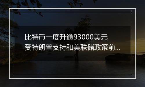 比特币一度升逾93000美元 受特朗普支持和美联储政策前景推动