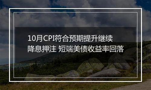 10月CPI符合预期提升继续降息押注 短端美债收益率回落