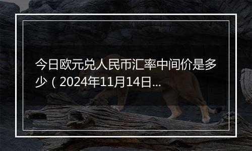 今日欧元兑人民币汇率中间价是多少（2024年11月14日）