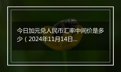 今日加元兑人民币汇率中间价是多少（2024年11月14日）