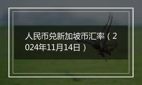 人民币兑新加坡币汇率（2024年11月14日）