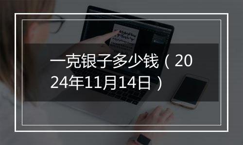 一克银子多少钱（2024年11月14日）