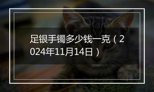 足银手镯多少钱一克（2024年11月14日）