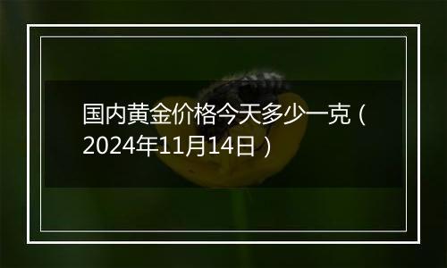 国内黄金价格今天多少一克（2024年11月14日）