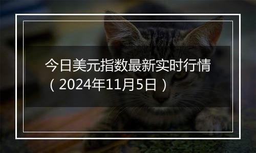 今日美元指数最新实时行情（2024年11月5日）