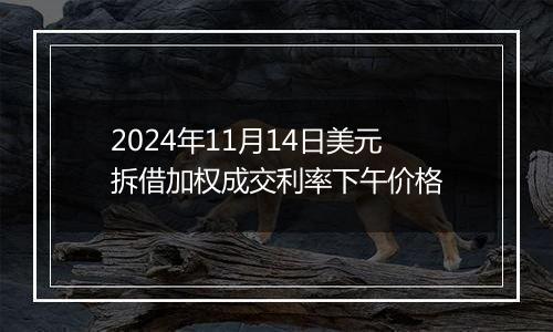 2024年11月14日美元拆借加权成交利率下午价格