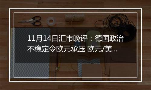 11月14日汇市晚评：德国政治不稳定令欧元承压 欧元/美元跌至一年来最低水平