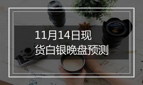 11月14日现货白银晚盘预测