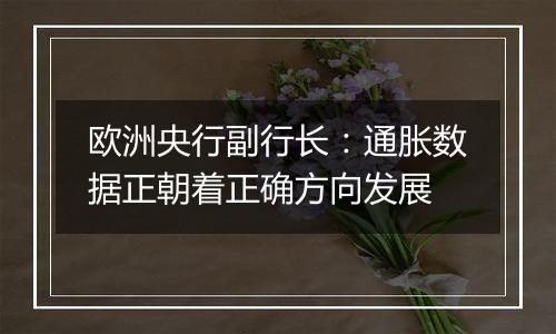 欧洲央行副行长：通胀数据正朝着正确方向发展