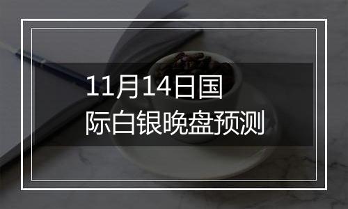 11月14日国际白银晚盘预测