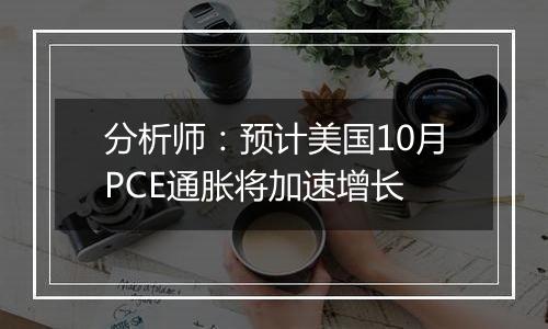 分析师：预计美国10月PCE通胀将加速增长