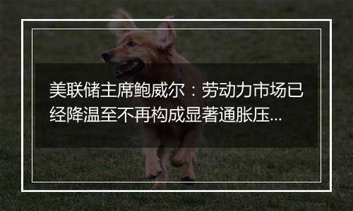 美联储主席鲍威尔：劳动力市场已经降温至不再构成显著通胀压力的程度