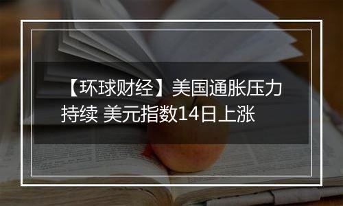 【环球财经】美国通胀压力持续 美元指数14日上涨