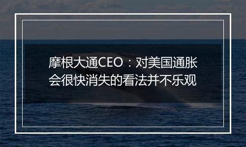 摩根大通CEO：对美国通胀会很快消失的看法并不乐观