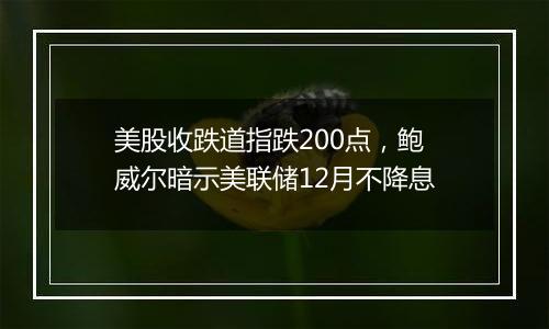 美股收跌道指跌200点，鲍威尔暗示美联储12月不降息