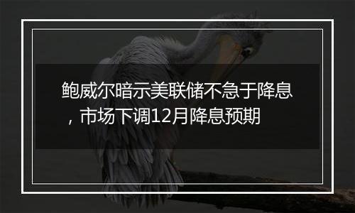 鲍威尔暗示美联储不急于降息，市场下调12月降息预期