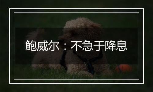 鲍威尔：不急于降息