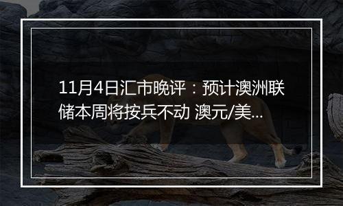 11月4日汇市晚评：预计澳洲联储本周将按兵不动 澳元/美元在0.66附近大幅上涨