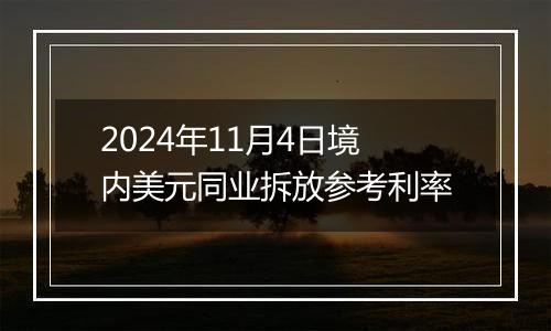 2024年11月4日境内美元同业拆放参考利率