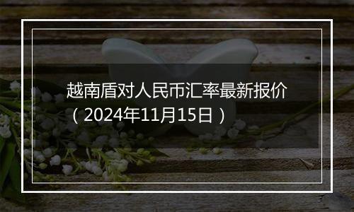 越南盾对人民币汇率最新报价（2024年11月15日）