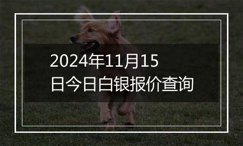 2024年11月15日今日白银报价查询