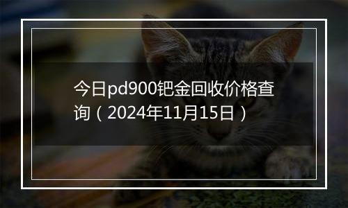 今日pd900钯金回收价格查询（2024年11月15日）