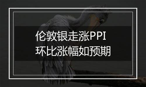 伦敦银走涨PPI环比涨幅如预期