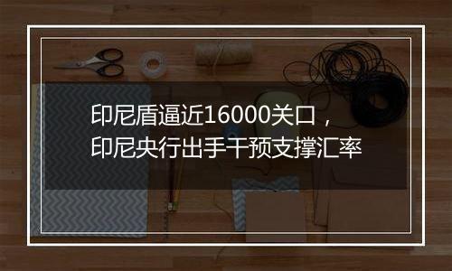 印尼盾逼近16000关口，印尼央行出手干预支撑汇率