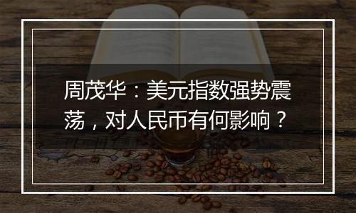 周茂华：美元指数强势震荡，对人民币有何影响？