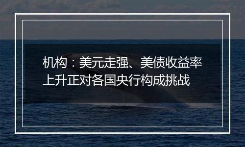 机构：美元走强、美债收益率上升正对各国央行构成挑战