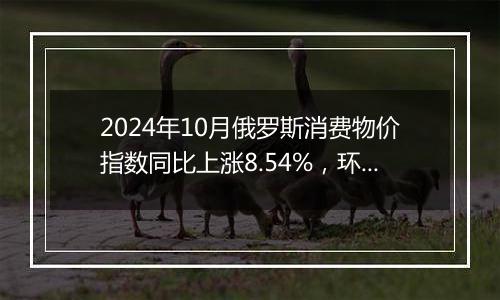 2024年10月俄罗斯消费物价指数同比上涨8.54%，环比上涨0.75%