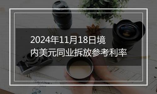 2024年11月18日境内美元同业拆放参考利率