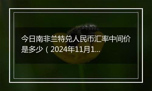 今日南非兰特兑人民币汇率中间价是多少（2024年11月18日）