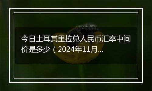 今日土耳其里拉兑人民币汇率中间价是多少（2024年11月18日）