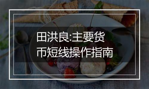 田洪良:主要货币短线操作指南