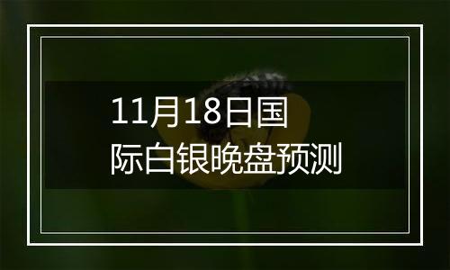 11月18日国际白银晚盘预测