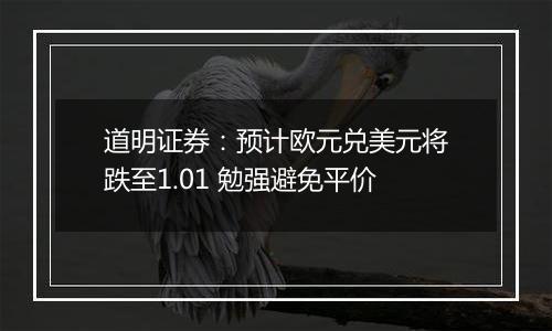 道明证券：预计欧元兑美元将跌至1.01 勉强避免平价