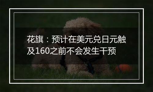 花旗：预计在美元兑日元触及160之前不会发生干预