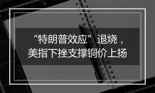 “特朗普效应”退烧，美指下挫支撑铜价上扬