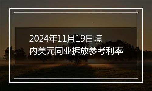 2024年11月19日境内美元同业拆放参考利率