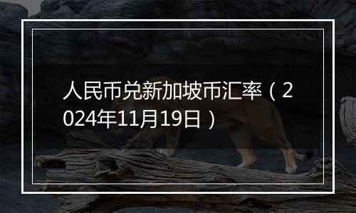 人民币兑新加坡币汇率（2024年11月19日）